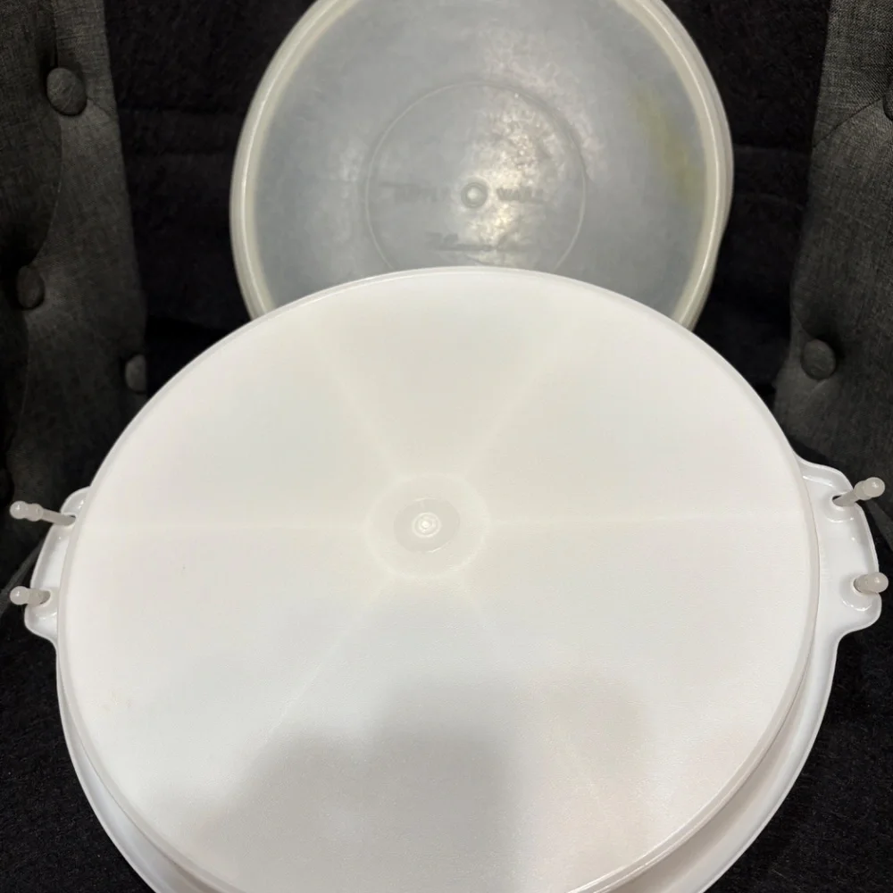 TUPPERWARE 6 Section Relish Veggie Tray #405 Clear Lid #224 & Carolier Handle